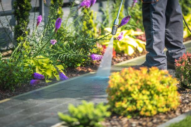Best Sidewalk and Walkway Cleaning  in Warson Woods, MO
